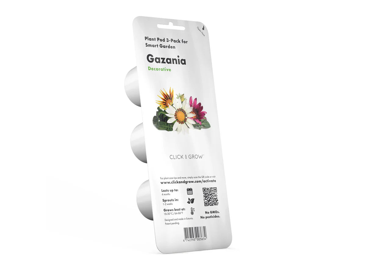 Gazania Plant Pods - ClicknGrow