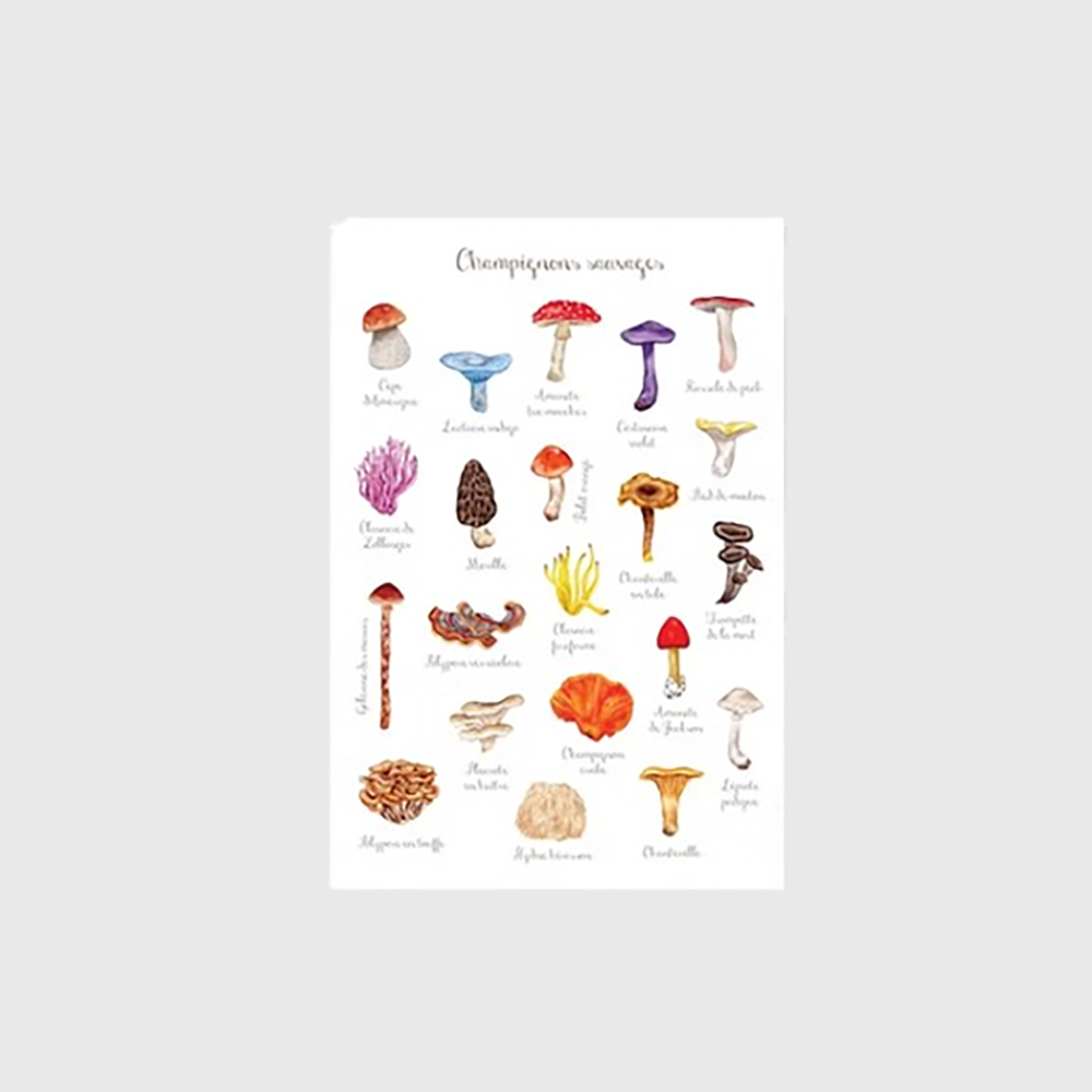 Carte postale - Hobeika Art - champignons
