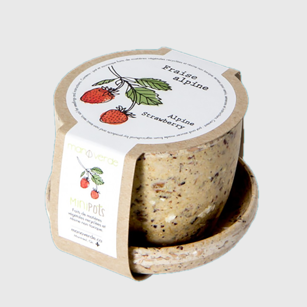 Minipots : Fraise alpine