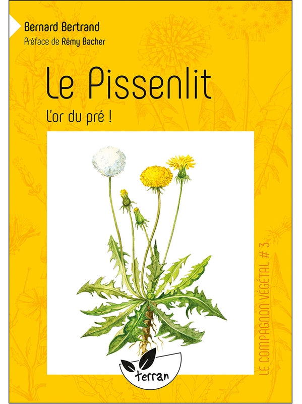 Le pissenlit, l'or du pré !