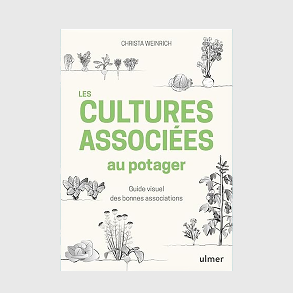 Les cultures associées au potager : Guide visuel de bonnes associations