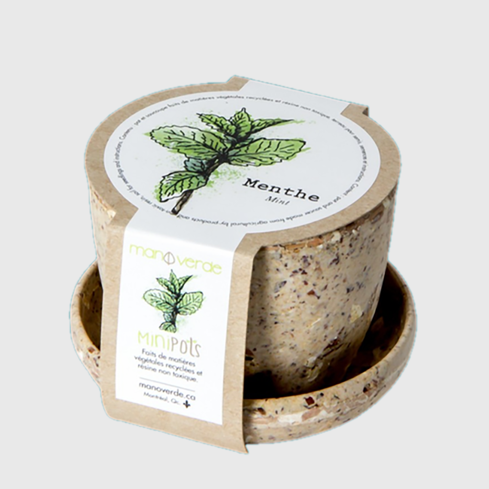 Minipots : Menthe