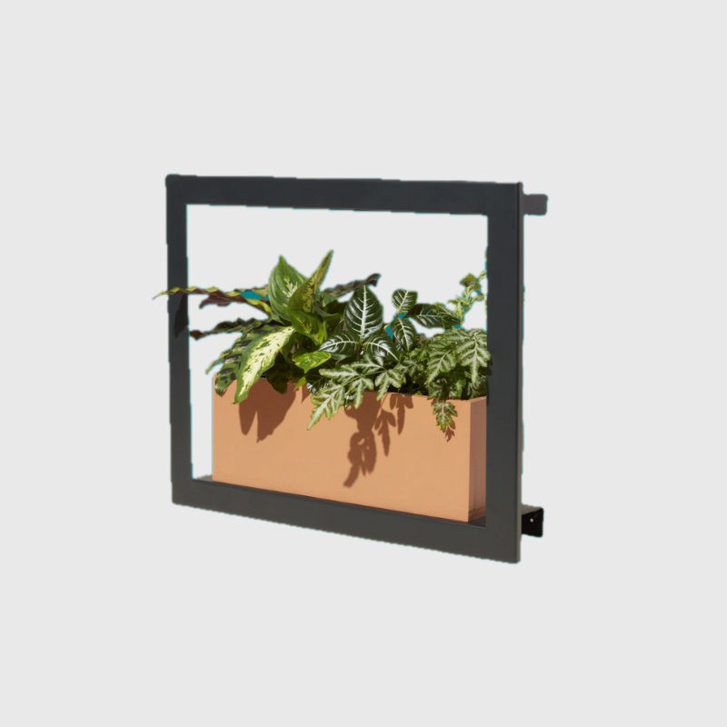 Cadre de culture intelligent - Noir mat / Smart Growframe - Matte Black /