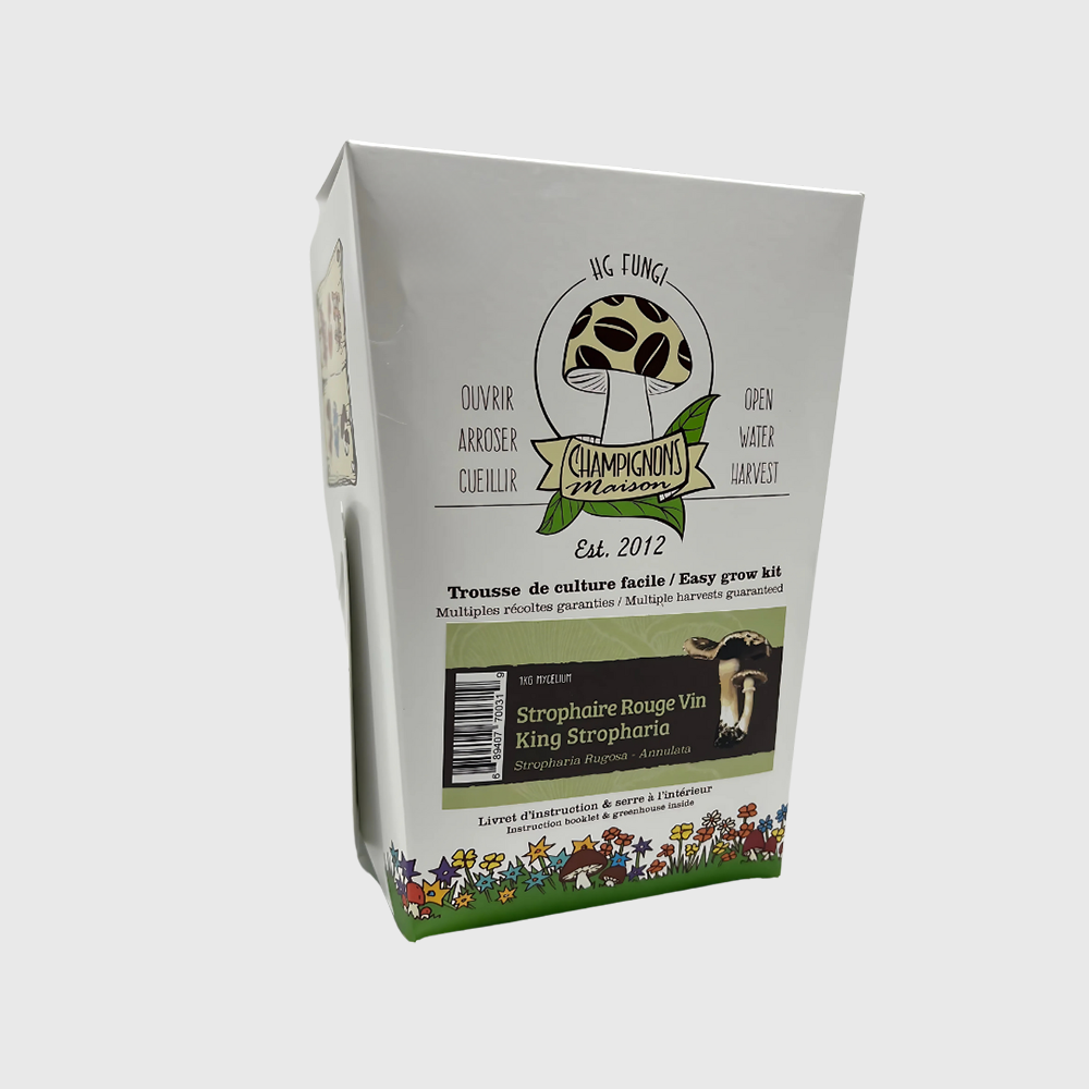 Strophaire Rouge-Vin (Kit champignon 1kg)