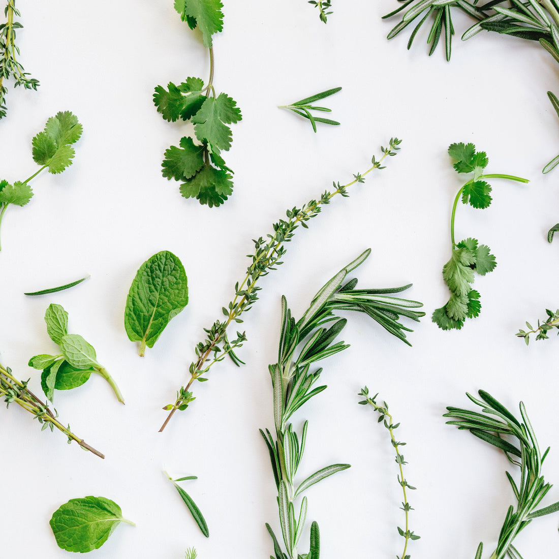 Fine herbs