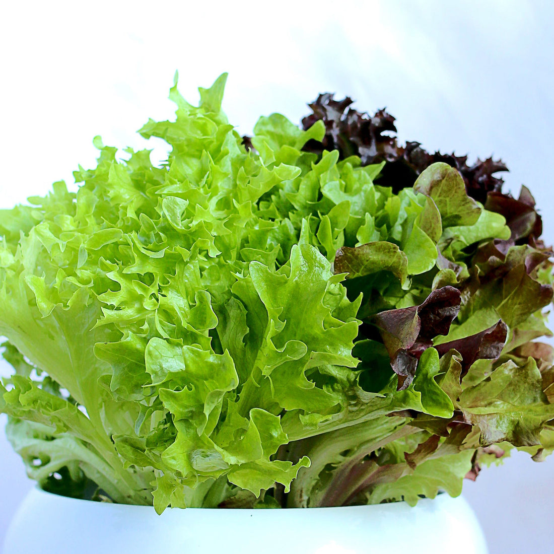 Salads