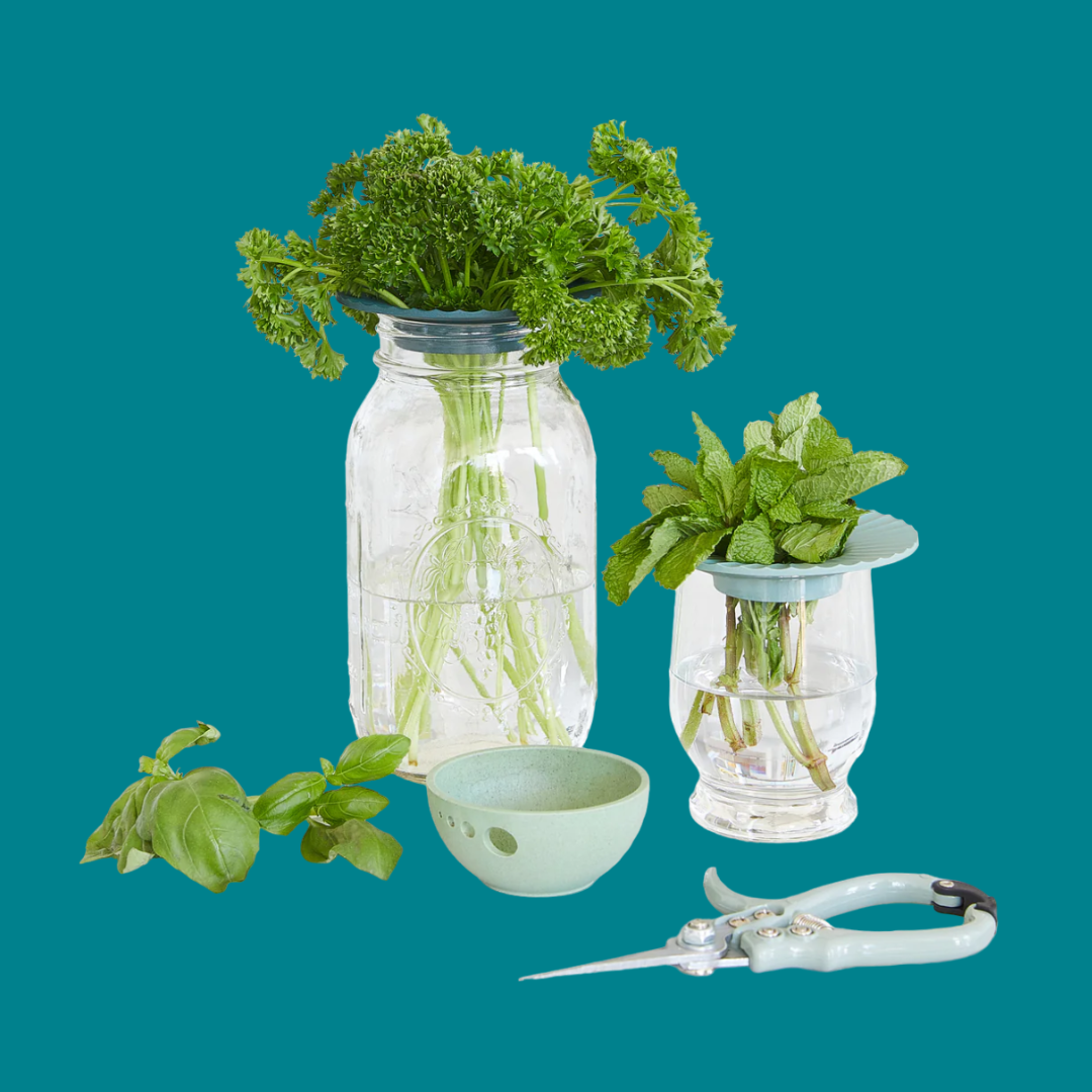 Produce Keepers / Gardien de produit