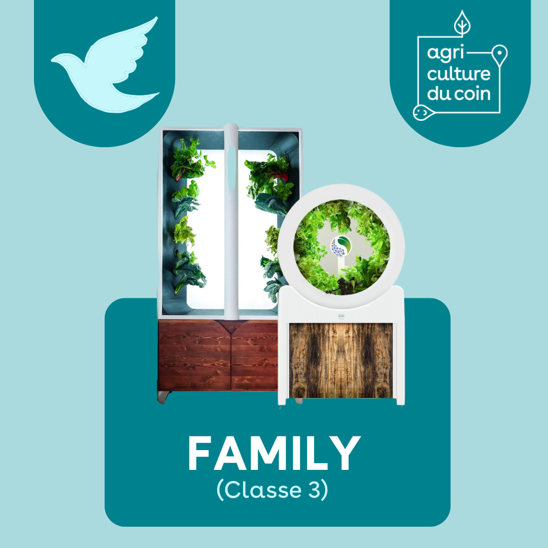 FAMILY (sans engagement)