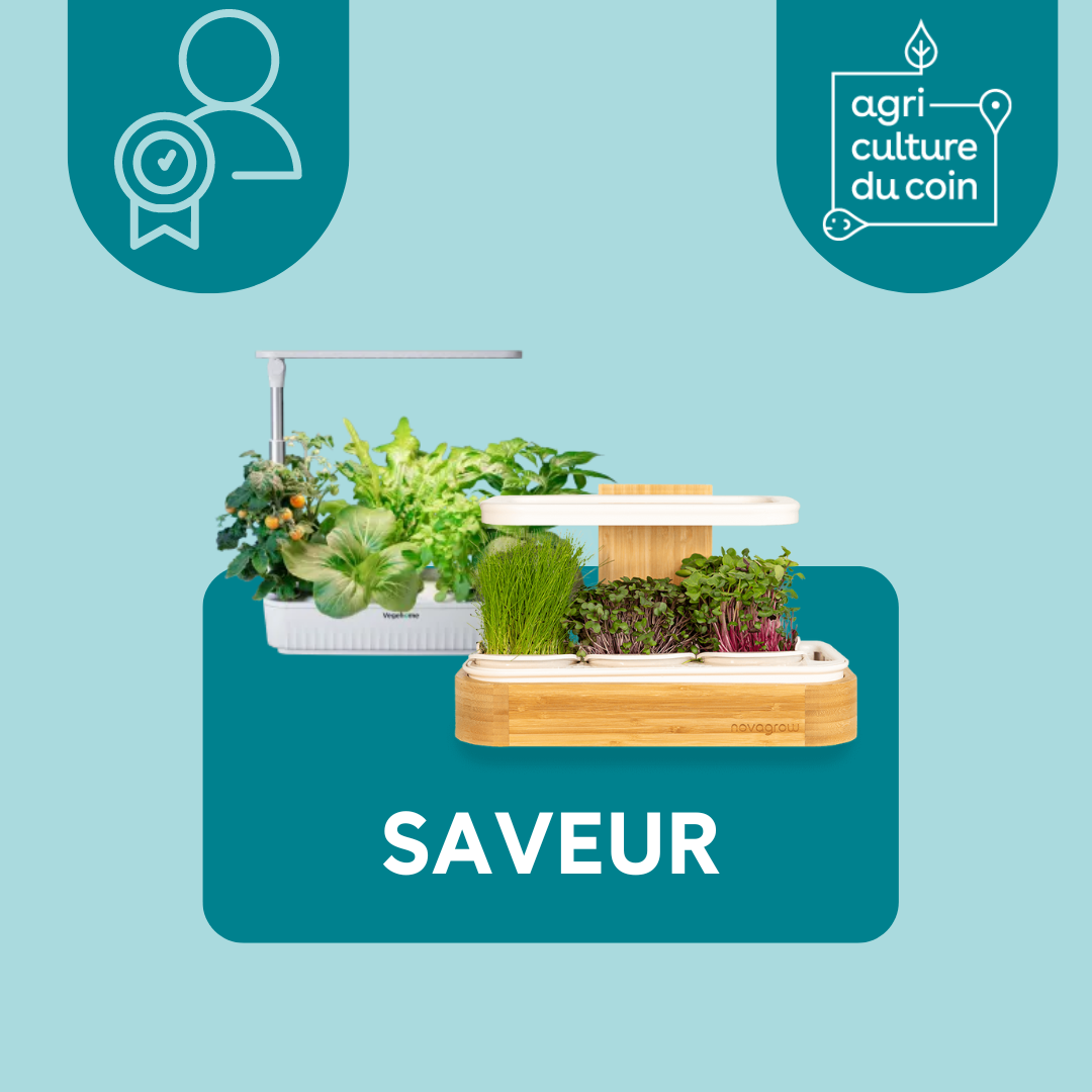 SAVEURS (engagement)