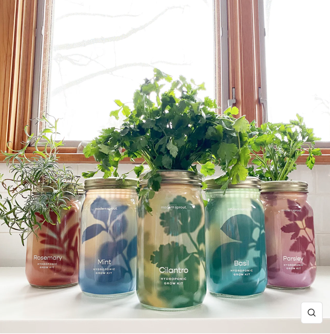 Pot de jardin / Garden Jar