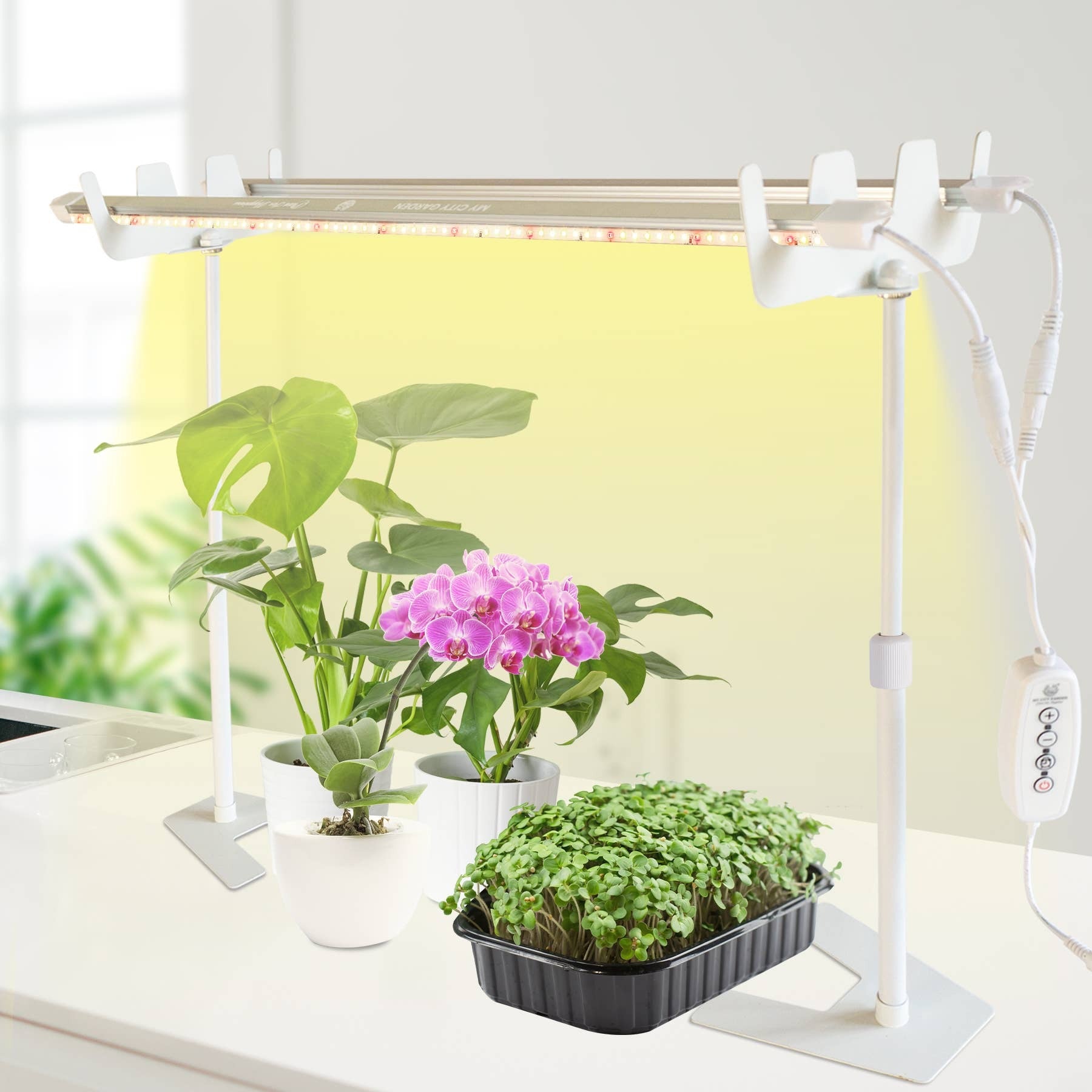 Power Grow - Ensembles d'éclairage,  2 pieds, 5000 K
