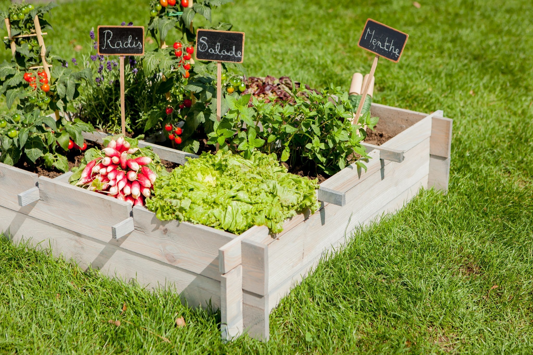 Mon potager