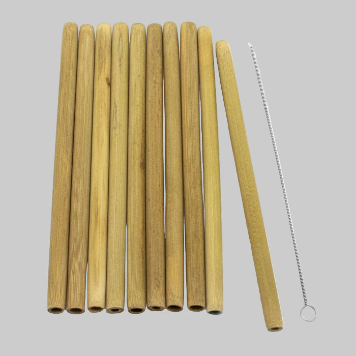 Pailles en bamboo ensemble de 10