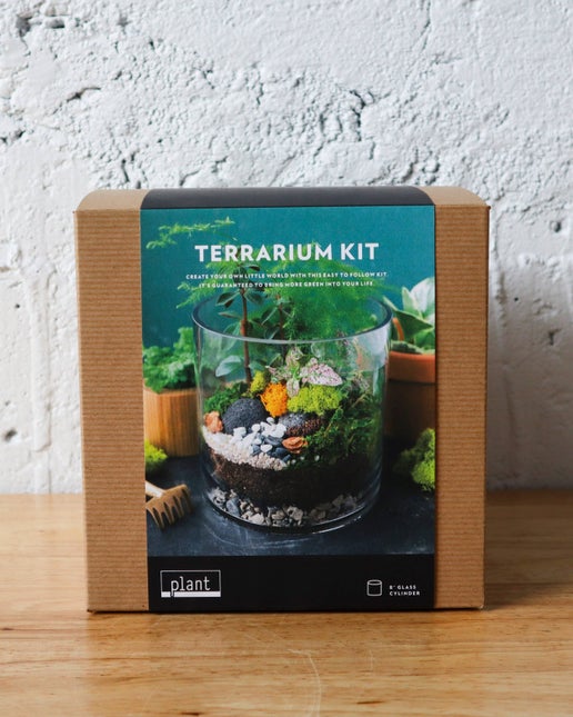 Terrarium kit: Large cylinder