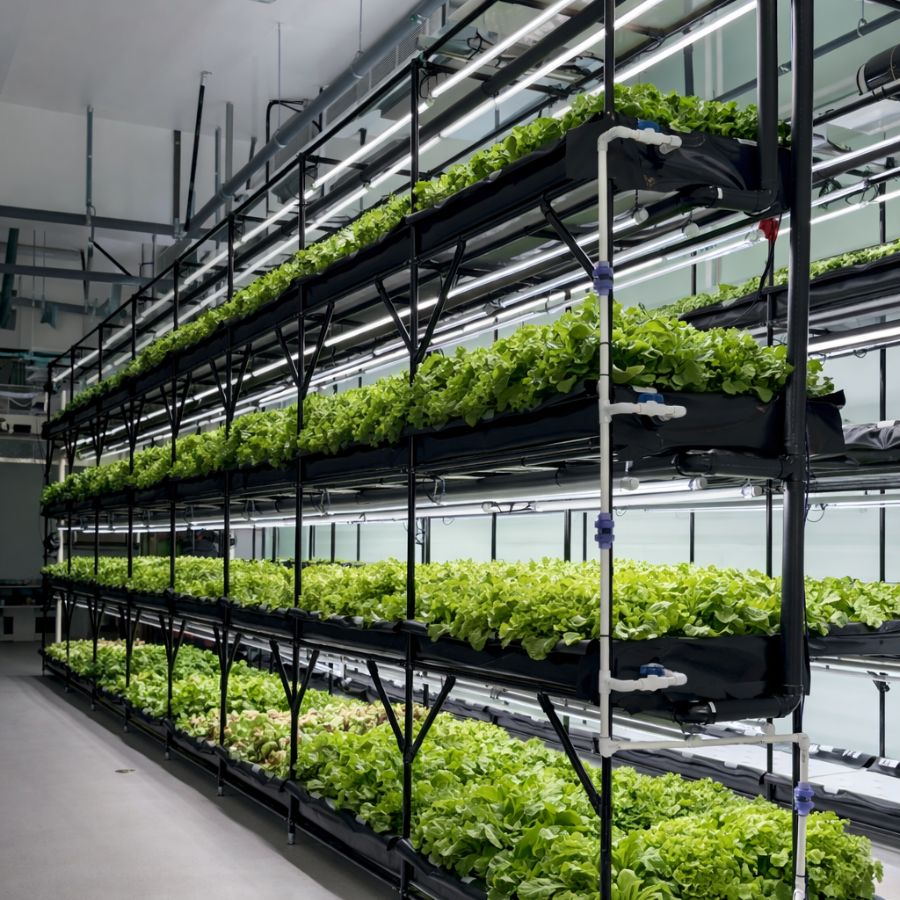 Agriculture du Coin