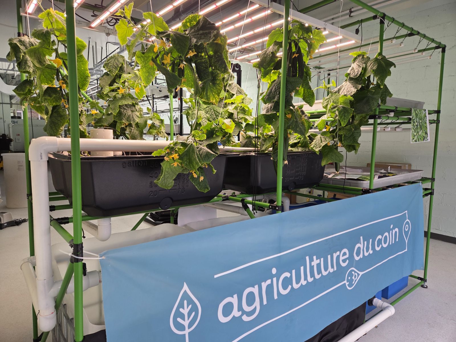 Agriculture du Coin