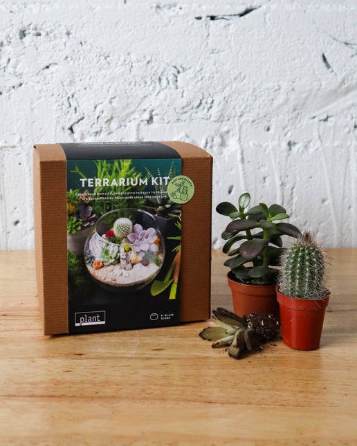 Terrarium Kit: Globe