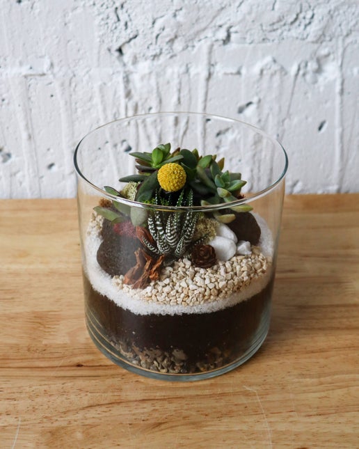Terrarium kit: Large cylinder