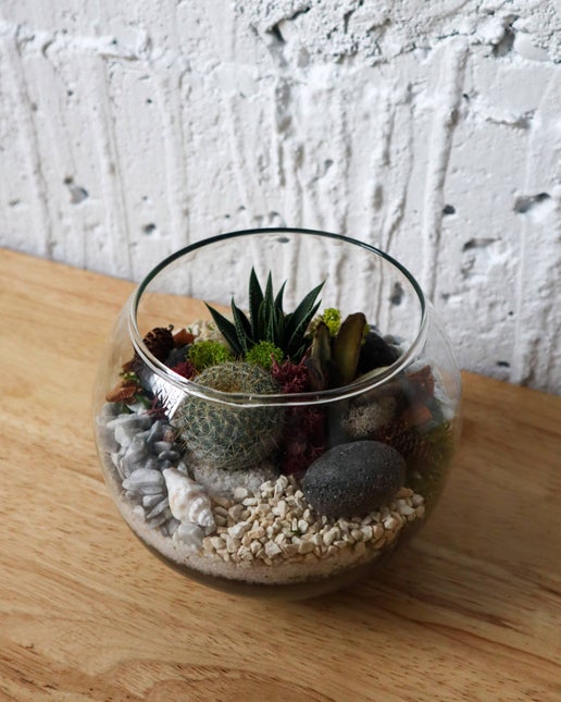 Terrarium Kit: Globe
