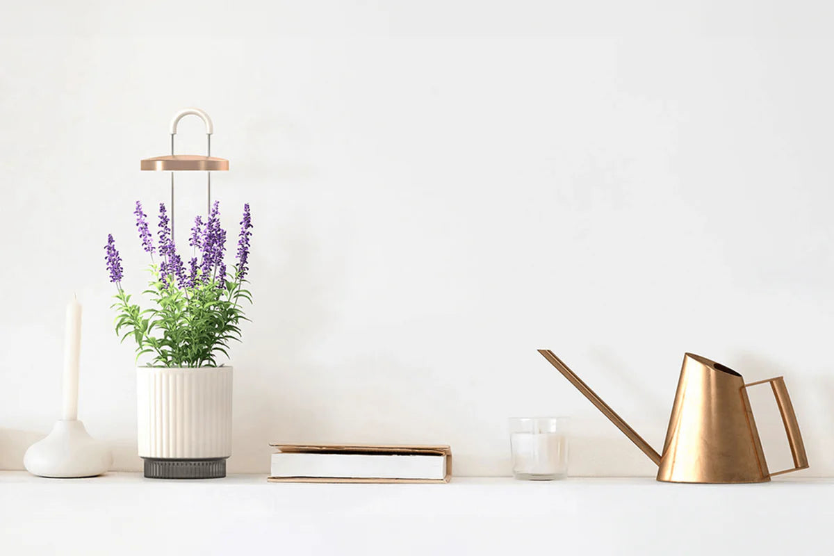 Hydrovase by Ermonix