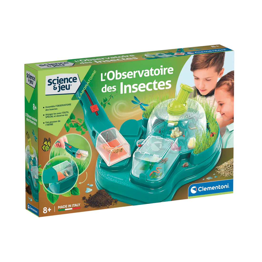 Science et jeu : observatoire des insectes