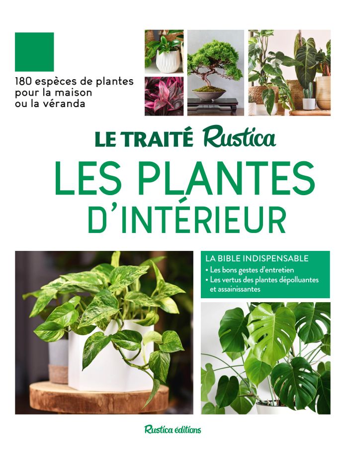 Le traité Rustica : Les Plantes d'intérieur