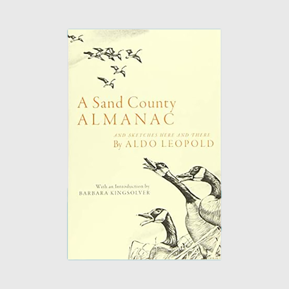 A Sand County Almanac: And Sketches Here and There