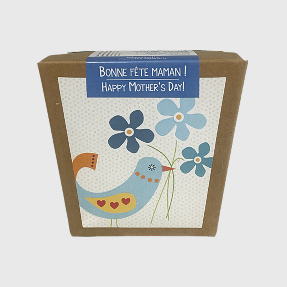 To grow at home: Happy Mother's Day