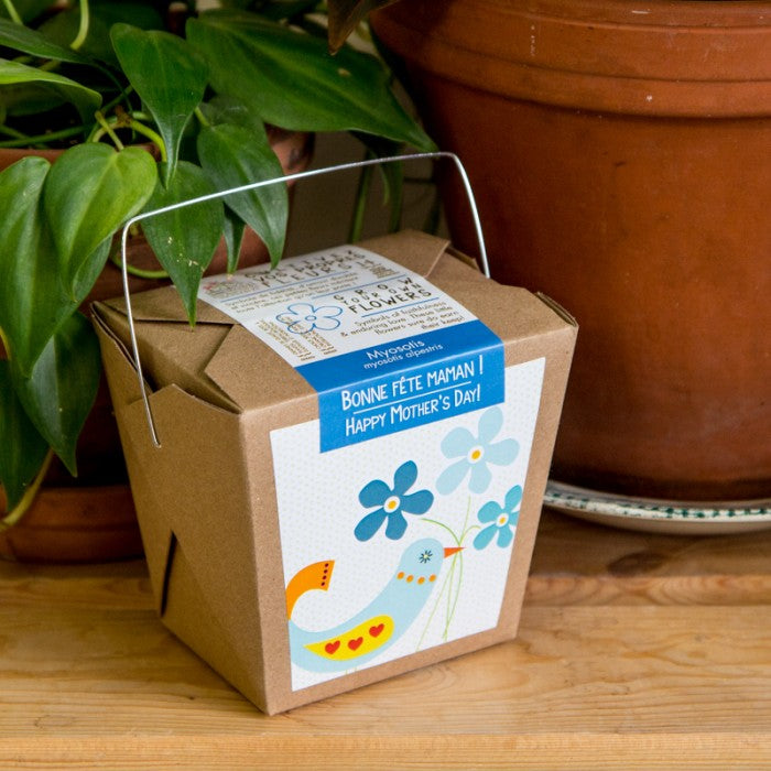 To grow at home: Happy Mother's Day