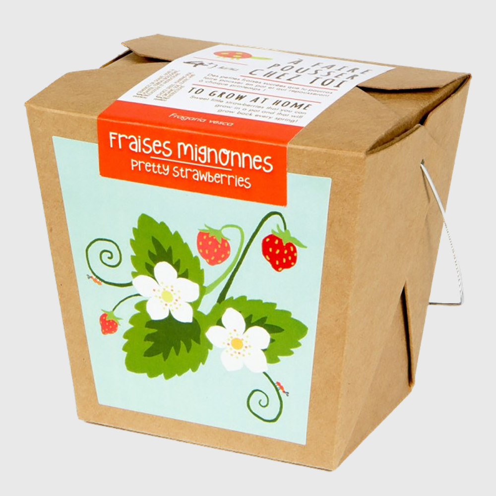 Grow at home: Cute strawberries