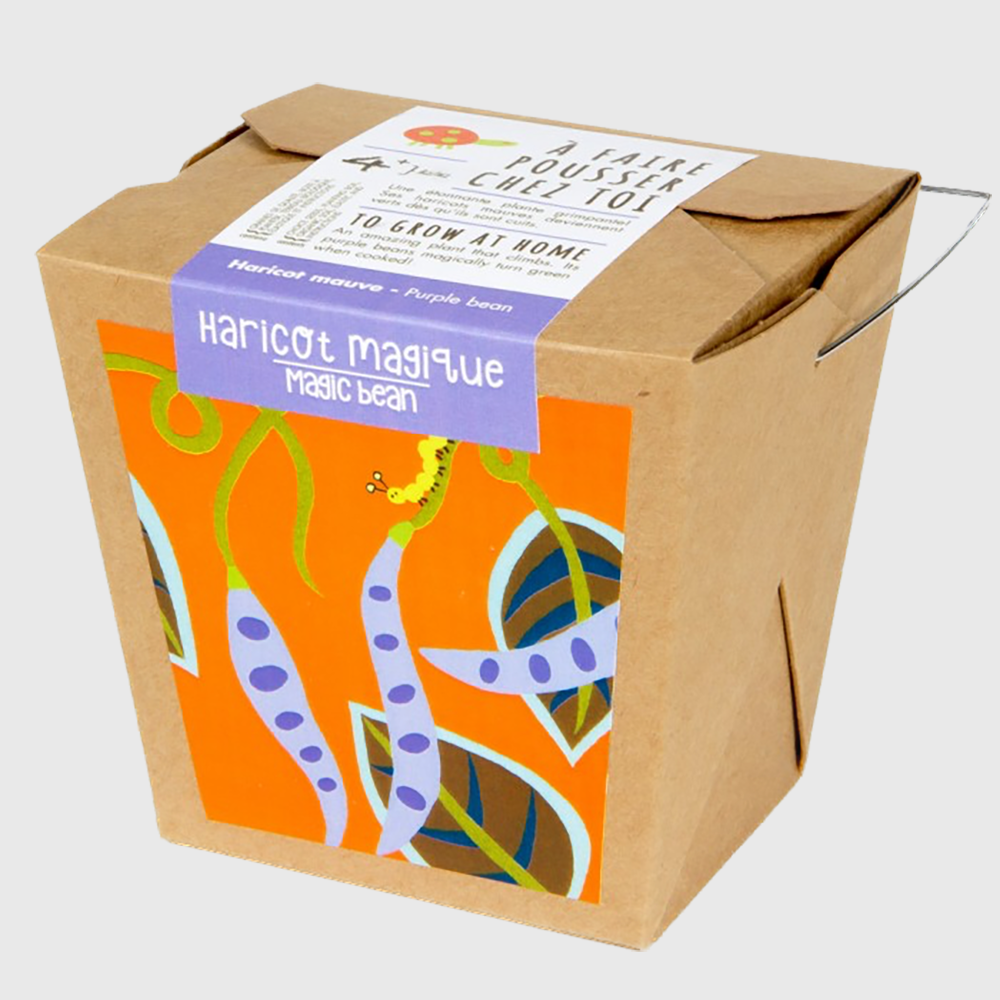 To grow at home: Magic beans