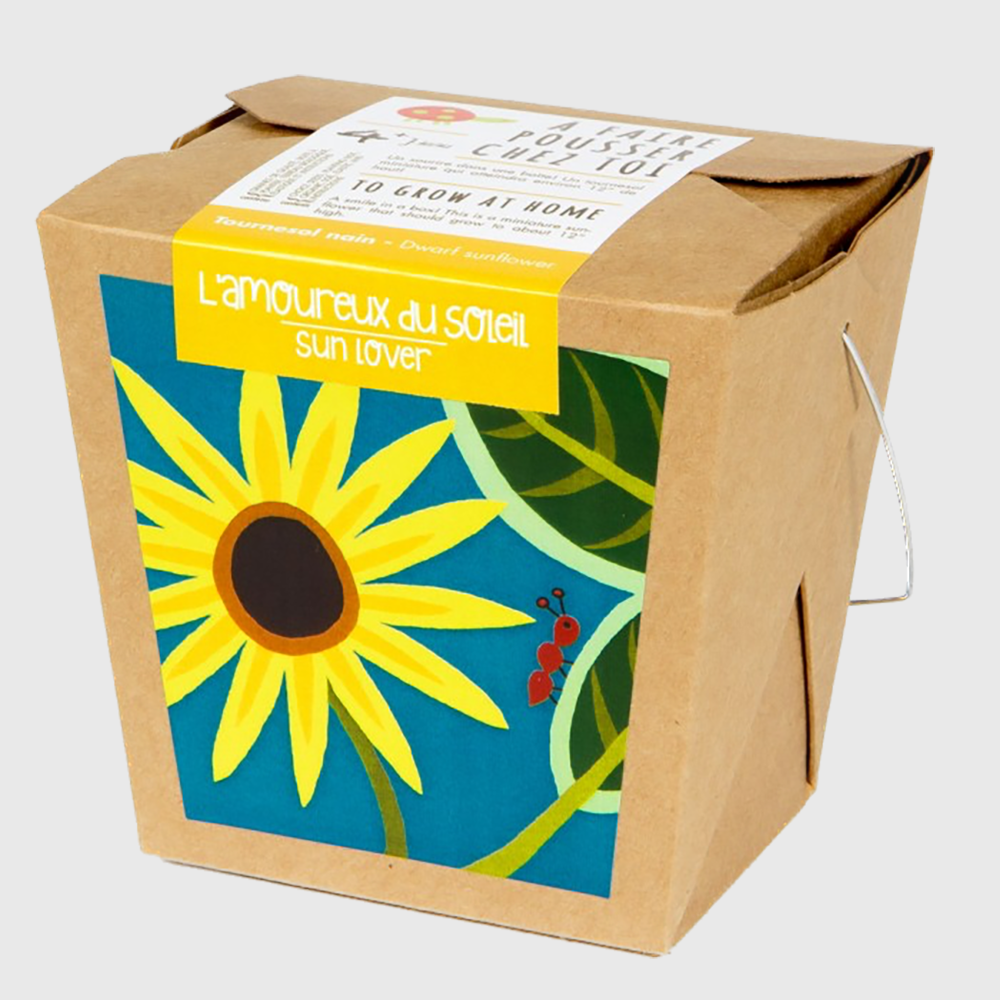 To grow at home: Sun flower / Sun lover