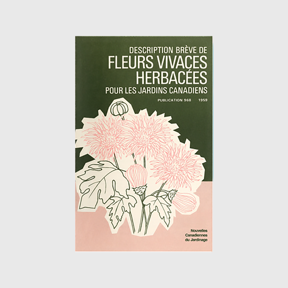 Raymond Biesinger Posters