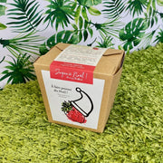 À faire pousser dès Noel - fraise alpine en boîte