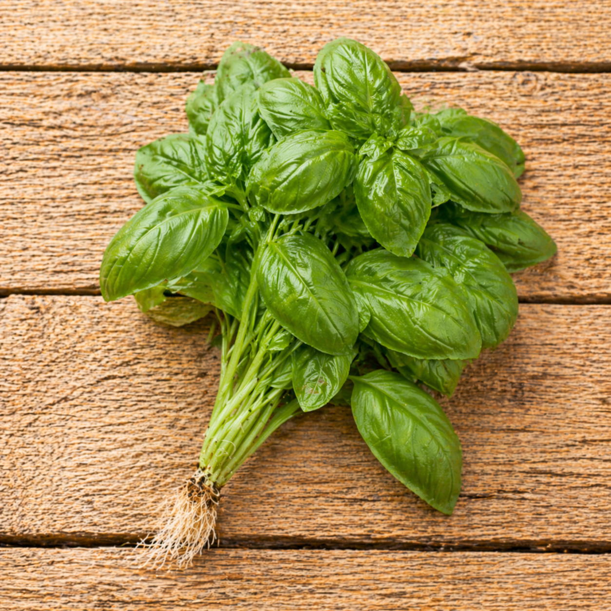 Fines Herbes