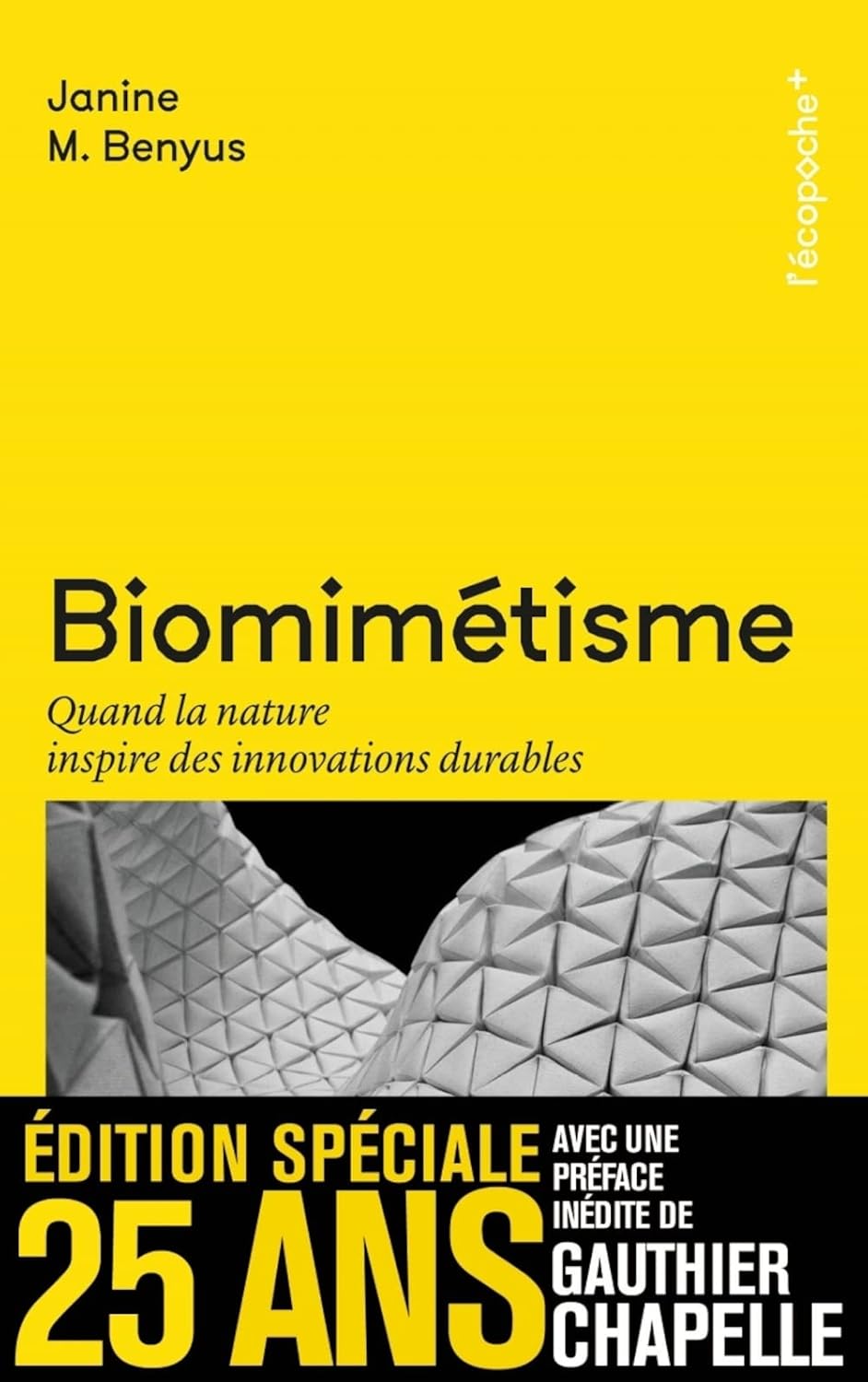 Biomimicry: When nature inspires sustainable innovations