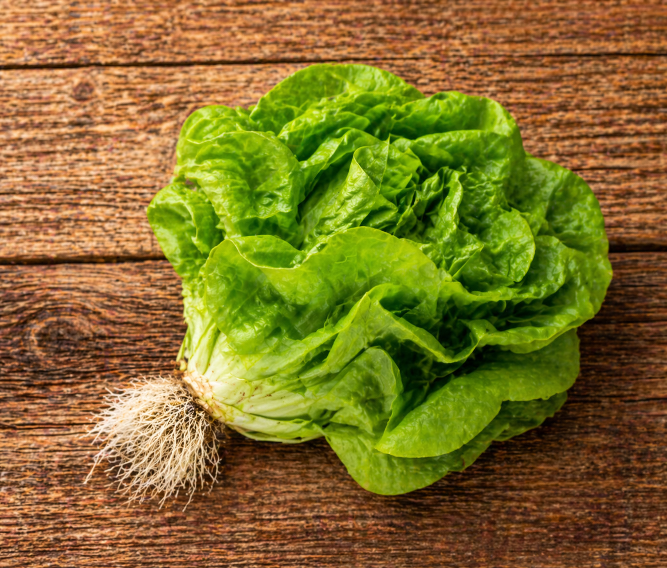 Salades
