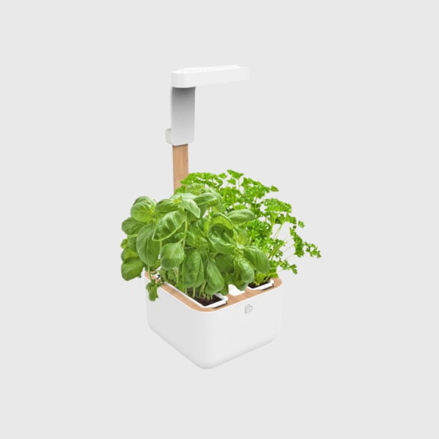 Botaneo Eylo - Potager d'intérieur - Véritable