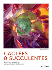 Cacti and Succulents