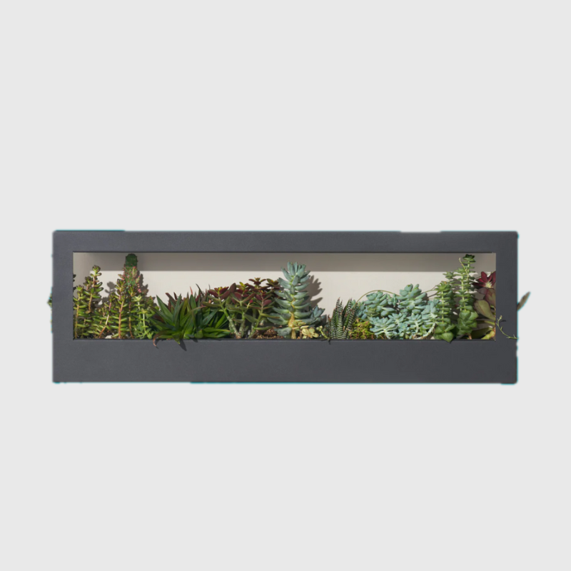 Smart Landscape Grow Frame - Matte Black / Smart Landscape Growframe - Matte Black