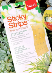 Sticky strips - Pièges à mouches collantes