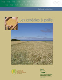 Production Guide - Straw Cereals