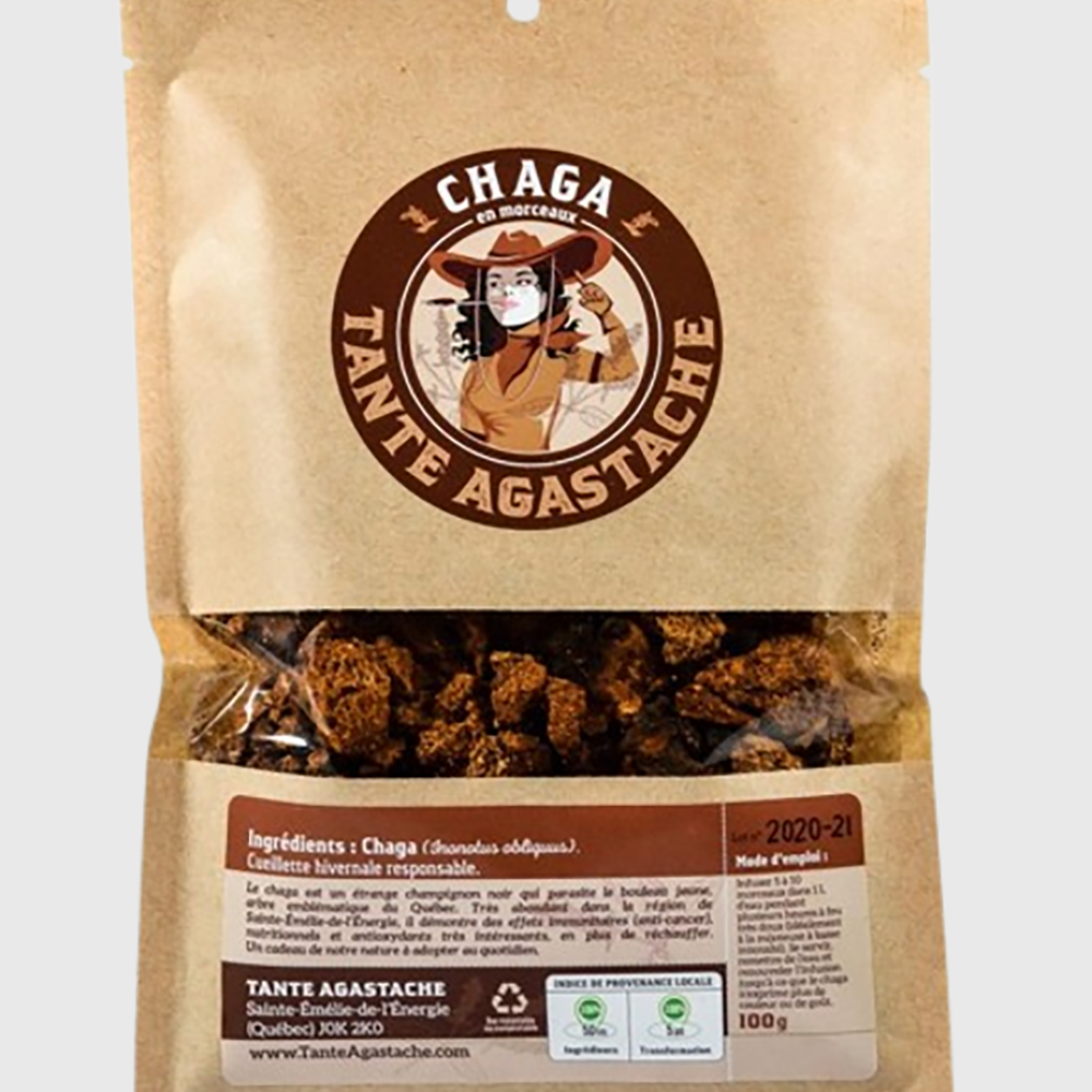 Chaga in pieces - Aunt Agastache