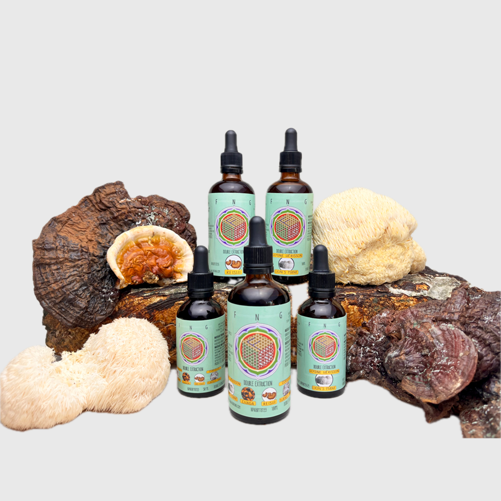 Mushroom Extract 4 Virtues - FNG [Double Extraction]