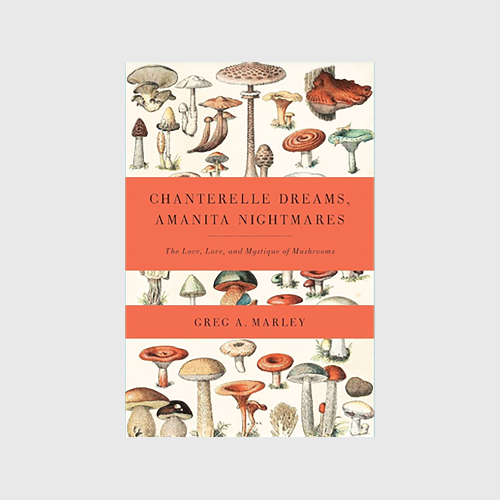 Chanterelle Dreams, Amanita Nightmares: The Love, Lore, and Mystique of Mushrooms