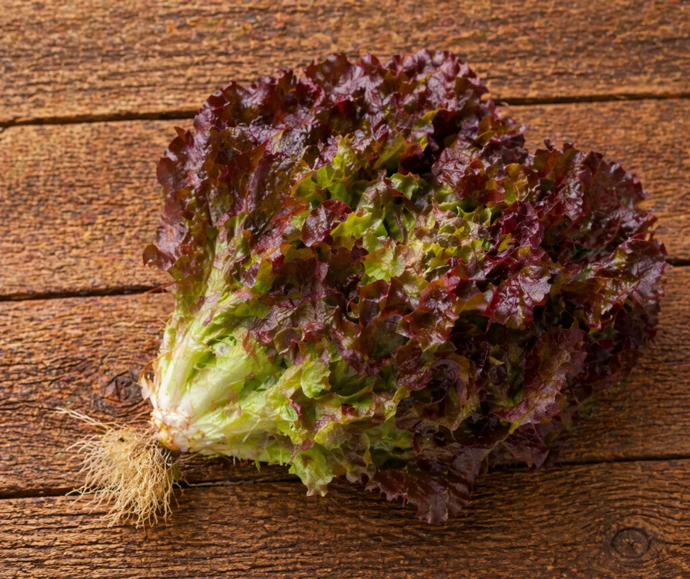 Salades