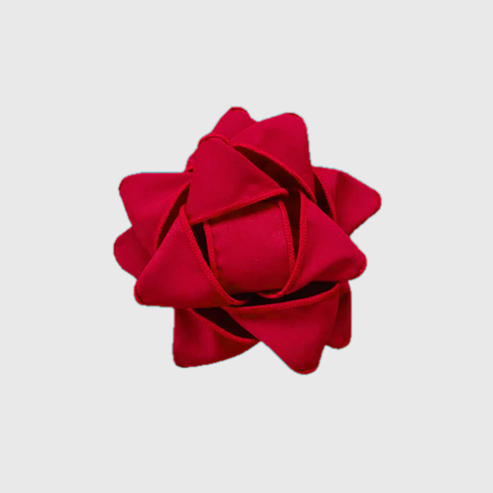 Reusable Gift Bag with Clip - Red