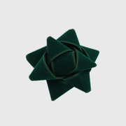 Reusable Gift Bag with Clip - Velvet Green