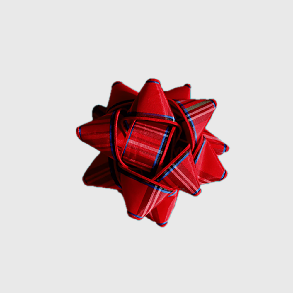 Reusable Gift Bag with Clip Plaid - Red &amp; Blue