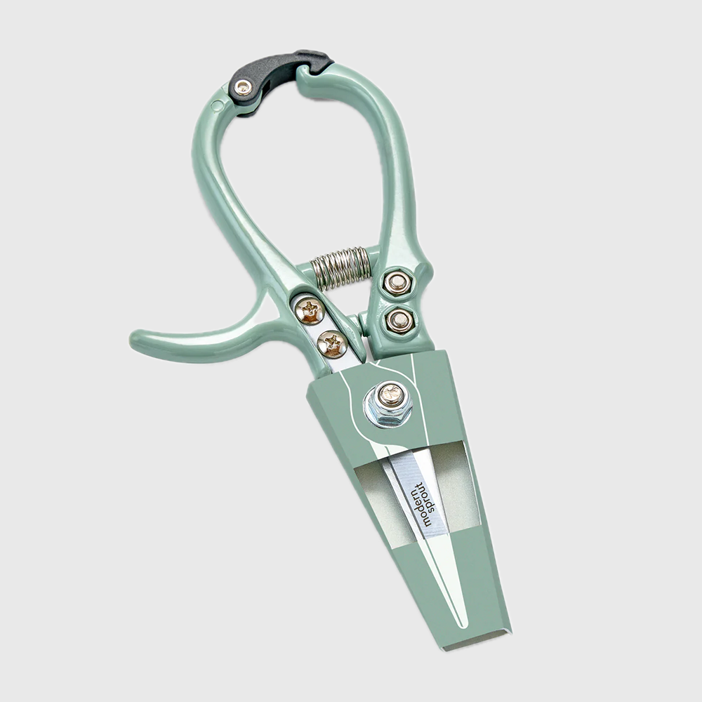 Scissors (Shears)